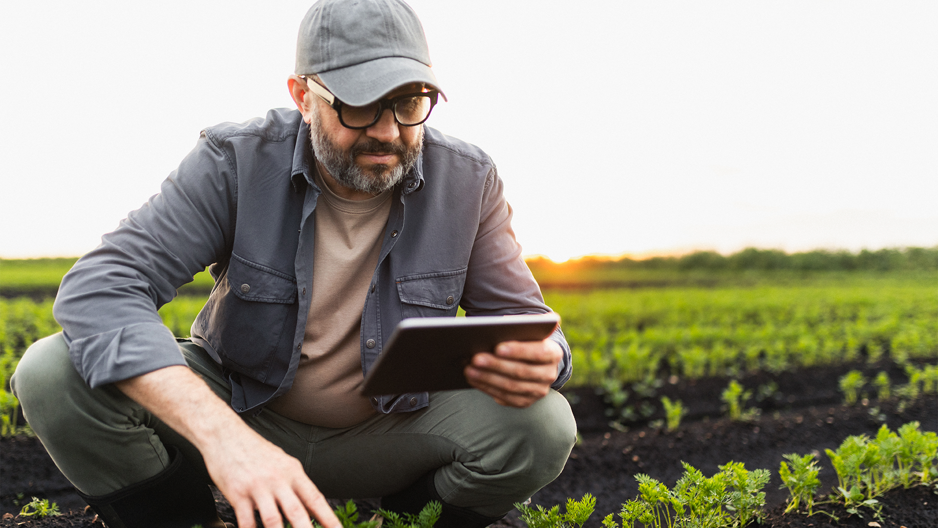 Como potencializar treinamentos do agronegócio?