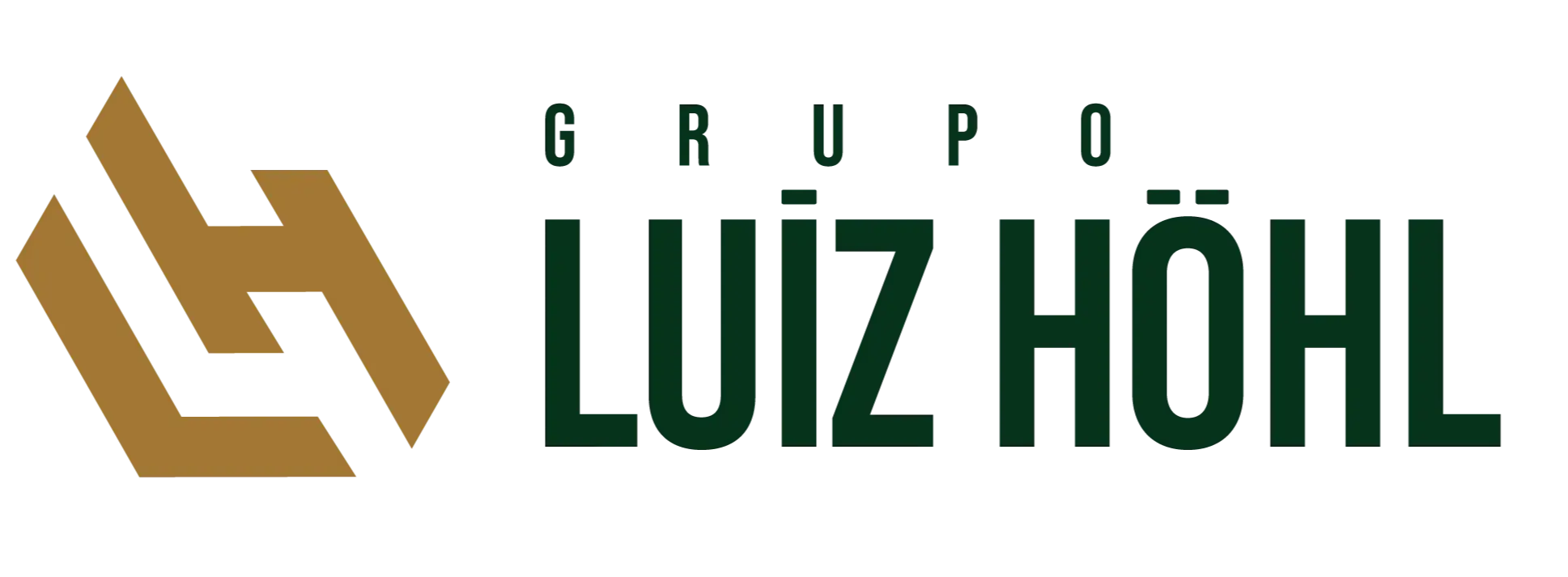 grupo luiz hohl